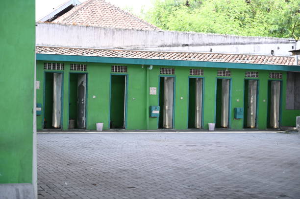 Best Luxury portable toilet rental  in Eastwood, MI